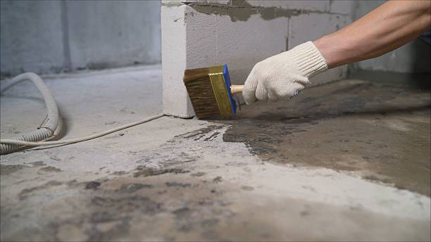 Top rated local Basement Waterproofing specialists in Rose Hill, KS